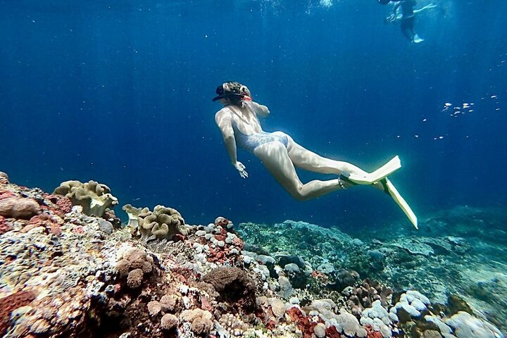 Swim with Manta Rays: Snorkeling Day Trip from Bali - Image 2