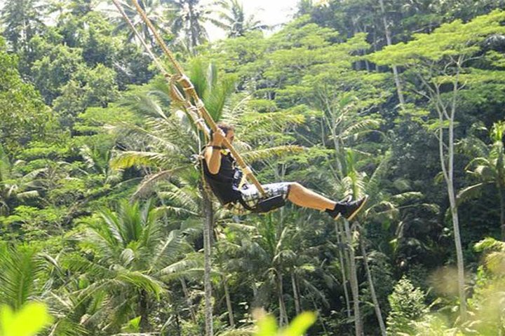 Taman Ayun Temple, Sangeh Monkey Forest, Swing included Transport & Lunch - Image 4