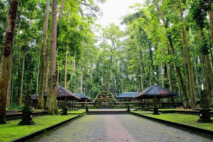 Taman Ayun Temple, Sangeh Monkey Forest, Swing included Transport & Lunch - Image 2