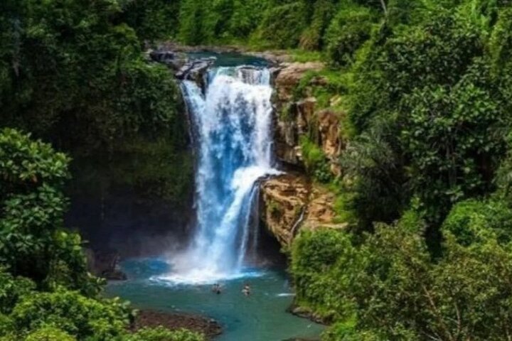 Tanah Lot Temple Tour with Monkey Forest, Rice Terrace, Waterfall - Image 2