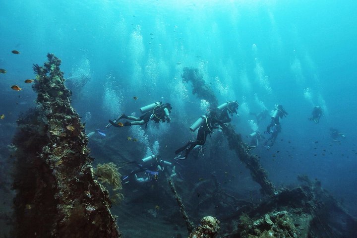 Tulamben Diving Tour Shipwreck USS Bali  - Image 4