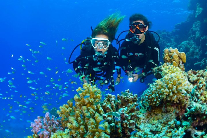 Tulamben Diving Tour Shipwreck USS Bali  - Image 2