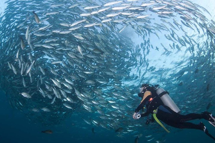 Tulamben Diving Tour Shipwreck USS Bali  - Image 1