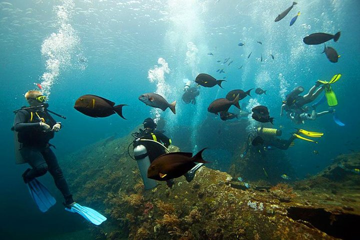 Tulamben Diving Tour Shipwreck USS Bali  - Image 3