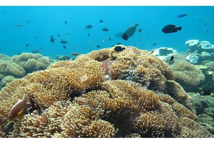 Tulamben Diving USS Liberty Shipwreck Scuba Dive - Image 2