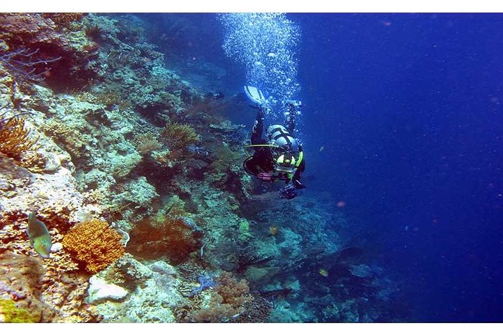 Tulamben Diving USS Liberty Shipwreck Scuba Dive - Image 3