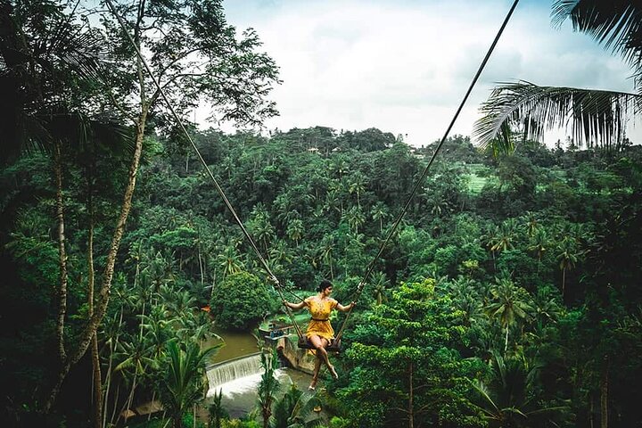 Ubud Activities: Jungle Swing - Water Rafting and Monkey Forest  - Image 2