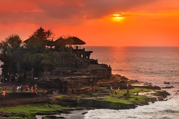 Ubud Bali Tour and Spa Treatment - Image 2