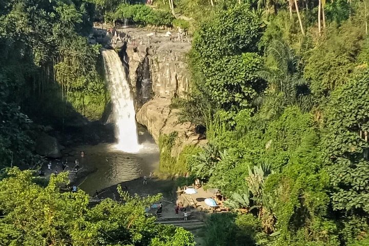 Ubud - Best central one day Tour - Image 2