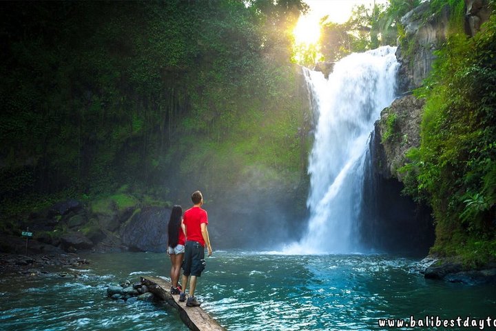 Ubud - Best central one day Tour - Image 5