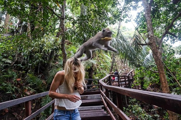Ubud Cultural Tour - Image 2