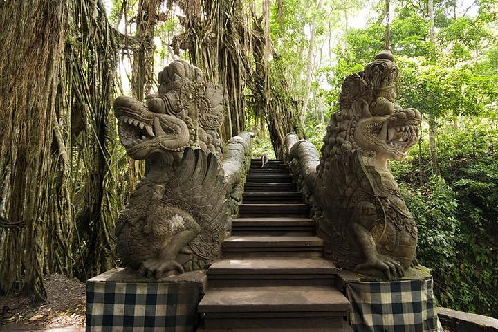Ubud Cultural Tour - Image 5