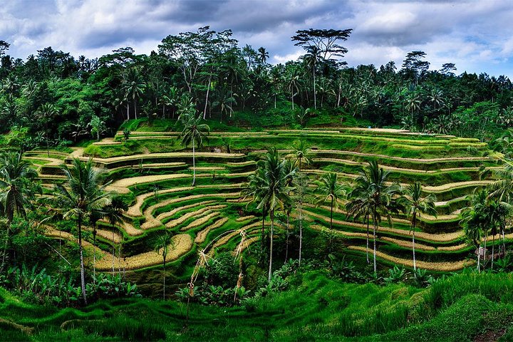 Ubud Customized Tour - Image 1