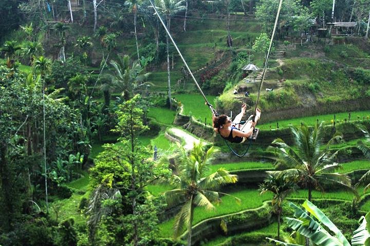 Ubud Day Trip and Tanah Lot - Image 2