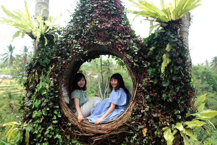 Ubud Day Trip and Tanah Lot - Image 1