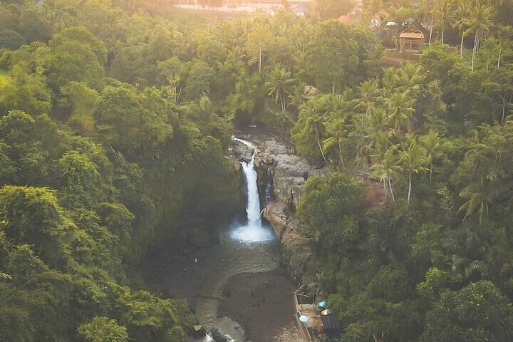 Ubud Day Trip: Monkey Forest - Temple -Rice Terrace - Waterfall - Image 3