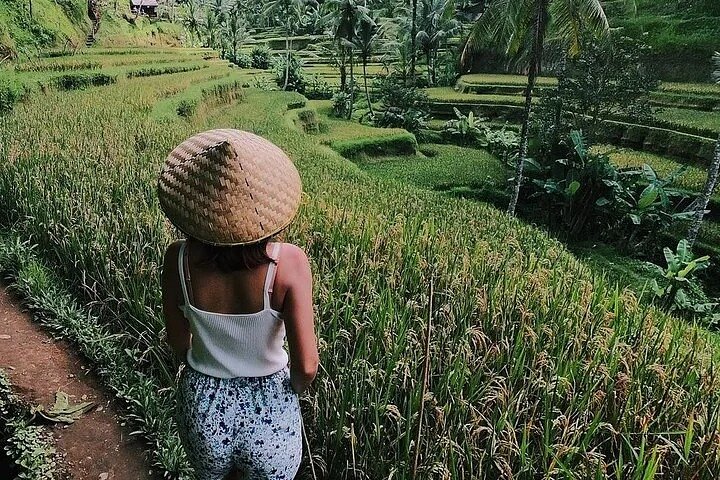 Ubud Day Trip: Monkey Forest - Temple -Rice Terrace - Waterfall - Image 2
