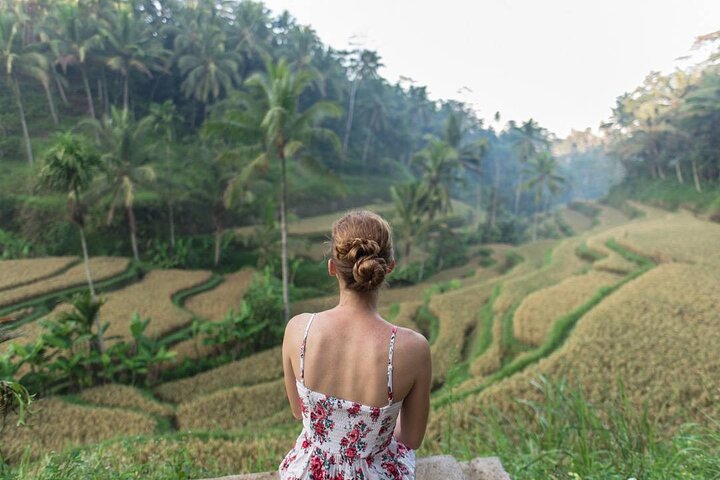 Ubud Day Trip: Monkey Forest - Temple -Rice Terrace - Waterfall - Image 4