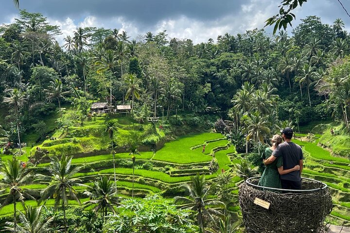 Ubud Highlight : All - Inclusive Tour with Jungle Swing  - Image 2