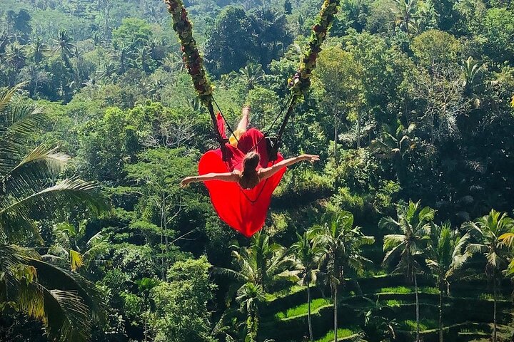 Ubud Highlight : All - Inclusive Tour with Jungle Swing  - Image 1