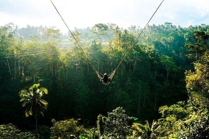 Ubud Highlight : All - Inclusive Tour with Jungle Swing  - Image 4