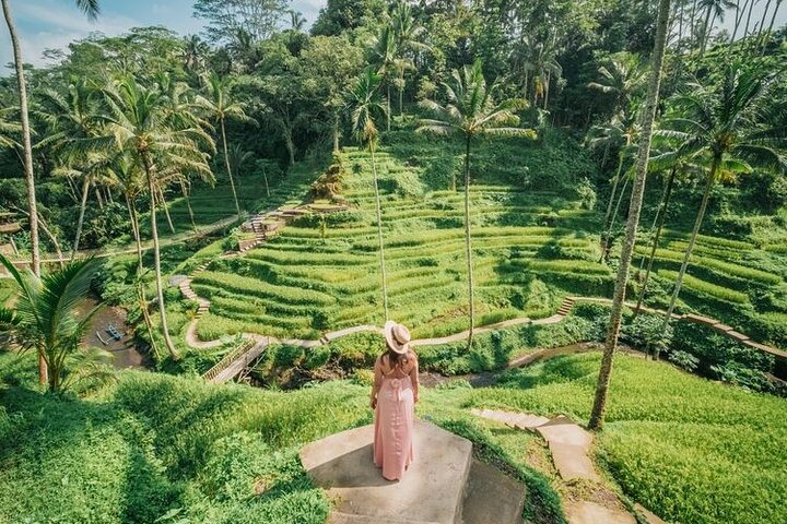 Ubud Highlight : All - Inclusive Tour with Jungle Swing  - Image 5