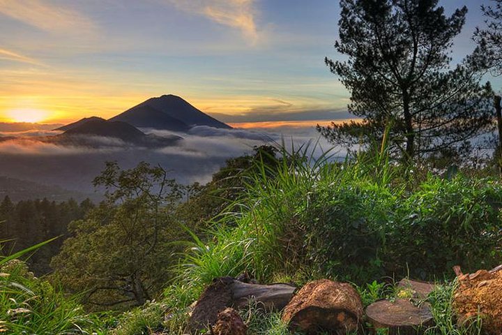 Ubud Kintamani Hot Spring - Image 2