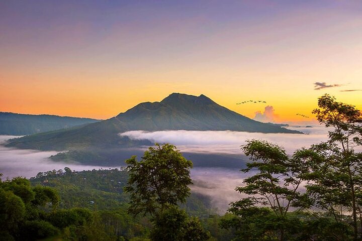 Ubud-Kintamani Private Tour (All Inclusive) - Image 1