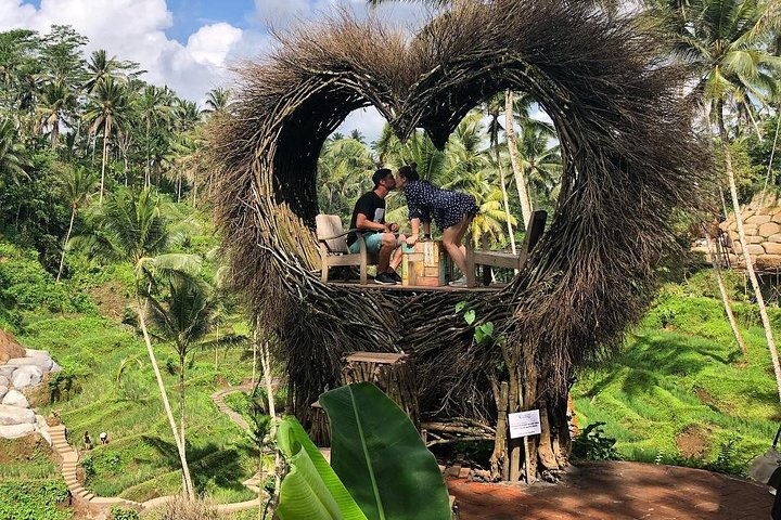 Ubud-Kintamani Private Tour (All Inclusive) - Image 5