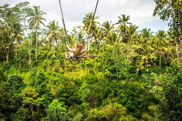 Ubud & Kintamani Tour - Image 4