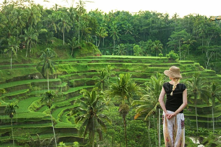 Ubud : Monkey Forest - Jungle Swing - Rice Terrace - Water Temple and Waterfall - Image 2
