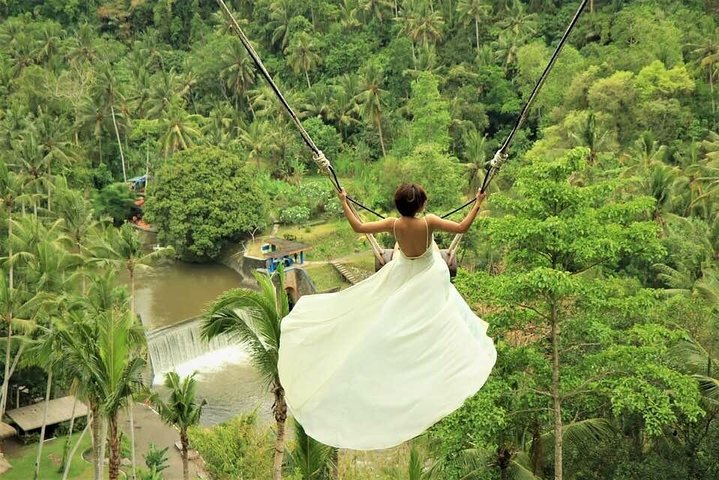 Ubud : Monkey Forest - Jungle Swing - Rice Terrace - Water Temple and Waterfall - Image 1