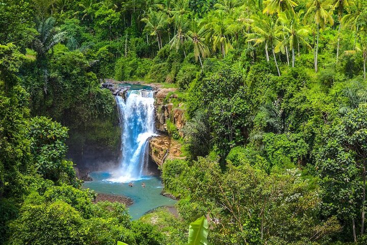 Ubud : Monkey Forest - Jungle Swing - Rice Terrace - Water Temple and Waterfall - Image 4