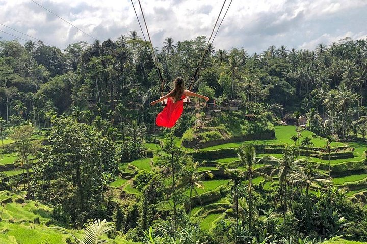 Ubud : Monkey Forest - Jungle Swing - Rice Terrace - Water Temple and Waterfall - Image 3