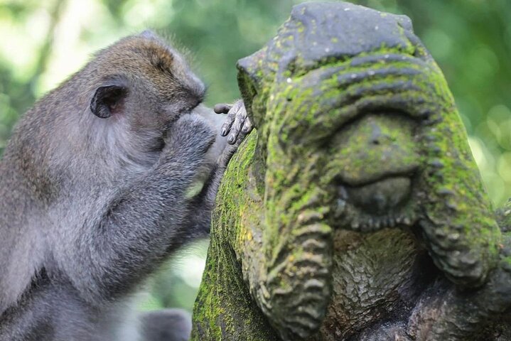 Ubud Private Tour Sightseeing and Waterfall  - Image 2
