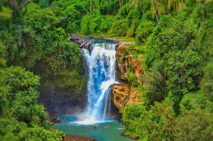 Ubud Private Tour Sightseeing and Waterfall  - Image 4