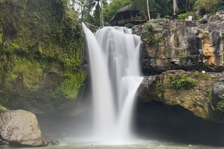 Ubud Private Tour Sightseeing and Waterfall  - Image 5