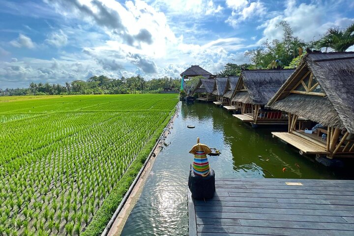 Ubud Private Tour Sightseeing and Waterfall  - Image 3