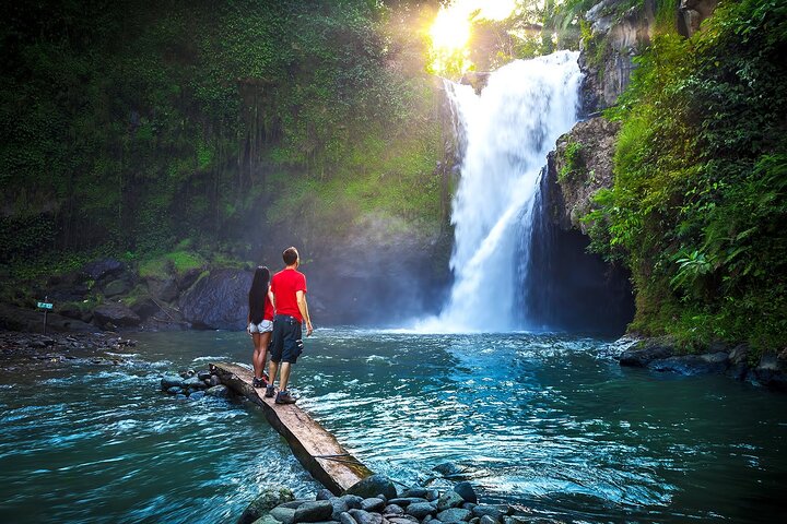 Ubud Private Tours with Jungle Swing Experience - all inclusive - Image 4