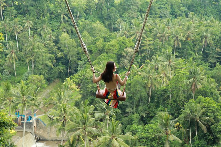 Ubud Private Tours with Jungle Swing Experience - all inclusive - Image 1