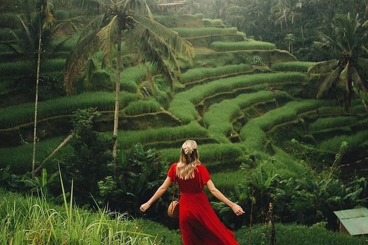 Ubud: Swing - Monkey Forest - Waterfall - Temple - Rice Terraces - Art Crafts - Image 2
