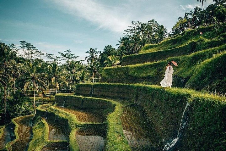 Ubud: Swing - Monkey Forest - Waterfall - Temple - Rice Terraces - Art Crafts - Image 3