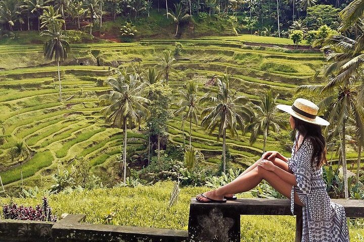 Ubud: Swing - Monkey Forest - Waterfall - Temple - Rice Terraces - Art Crafts - Image 4