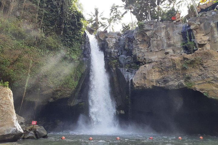 Ubud Tour, Monkey Forest, Swing, Water Temple and Waterfall - Image 4