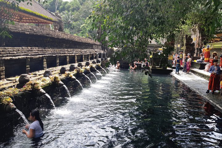 Ubud Tour, Monkey Forest, Swing, Water Temple and Waterfall - Image 5