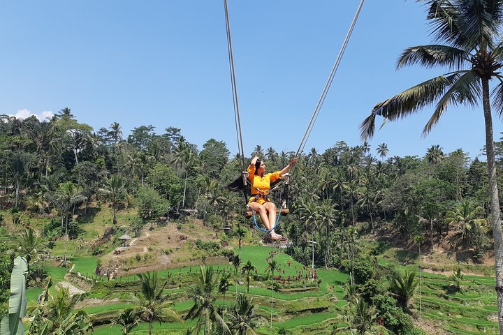 Ubud Tour, Monkey Forest, Swing, Water Temple and Waterfall - Image 1