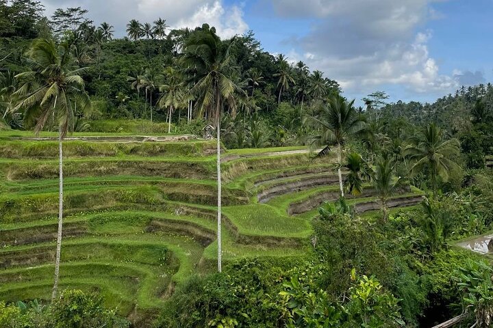 Ubud Traditional Tour - Image 4