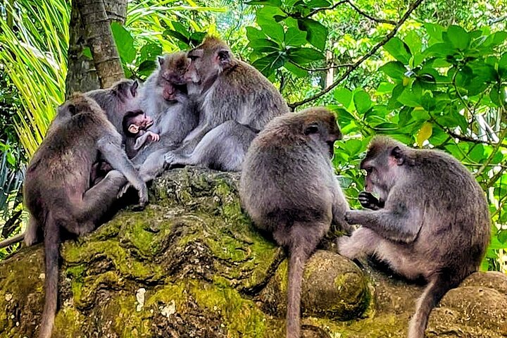 Ubud Traditional Tour - Image 2