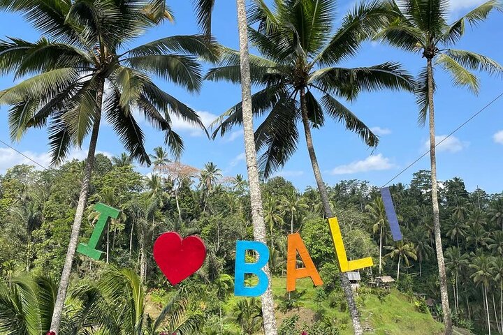 Ubud Traditional Tour - Image 5