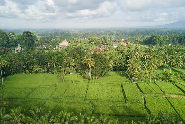 Ubud Village Cycling with 2 Hours Balinese Spa - Image 5
